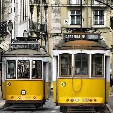 Casinha Alfacinha